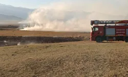 Hakkari Nehil sazlığında başlayan yangın kontrol altında