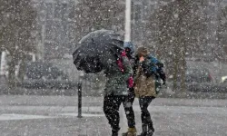 Yeni haftada kış başlıyor! Meteoroloji'den uyarı...Kar yağışı