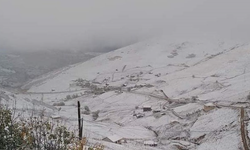 Giresun'un yüksek kesimlerinde kar yağışı etkisini gösterdi