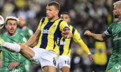 Edin Dzeko: Fenerbahçe beni bunun için getirdi