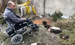 Hakkari'de başıboş köpekler, engelli vatandaşın 10 tavuğunu telef etti