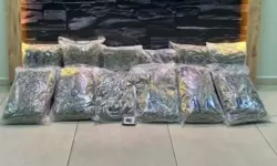 Kuşadası'nda, otomobilde 13 kilogram skunk yakalandı