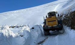 Hakkari'de ekimde 1 metre kar kalınlığı: Üs bölgesinin yolu kapandı