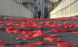 İstanbul'da üst geçitte kırmızı gül yaprakları