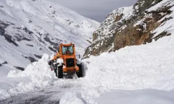 Ovit Dağı Geçidi'nde karla mücadele