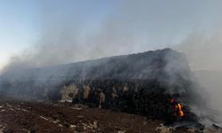 Cizre'de saman balyaları yandı