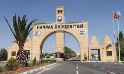 Harran Üniversitesi'nde cinsel istismar iddiaları!