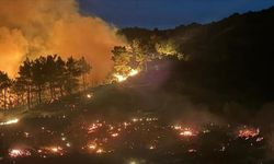 Muğla'da çıkan orman yangınlarına müdahale ediliyor