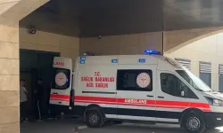 Şanlıurfa'da birlikte yaşadığı kadına satırla saldırdı