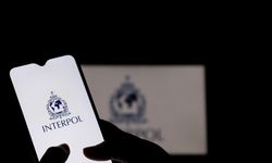 Interpol'den dünyayı korkutan itiraf: Galiba yenildik