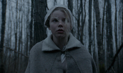 'The Witch' (2015): Robert Eggers’ın korku başyapıtı