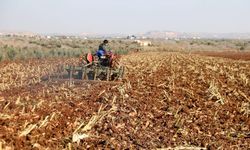 213,4 milyon liralık tarımsal destekleme ödemeleri bugün hesaplara aktarılıyor