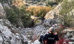 İzmir'de kayalıklarda mahsur kalan keçiyi AFAD ekipleri kurtardı