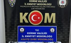 Edirne'de "change" oto şebekesine operasyon