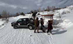 Erzincan’da kardan dolayı tarımda zarar tespit çalışmaları sürdürülüyor