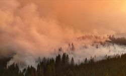 ABD'nin California eyaletinde orman yangını! Binlerce kişi tahliye edildi