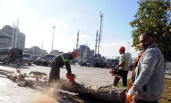 İBB, Gülhane ve Gezi Parkı'ndaki asırlık ağaçları kurudu bahanesiyle kökünden kesti!