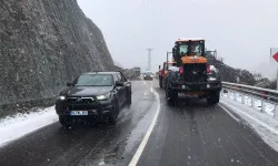 Artvin-Yusufeli yolunda heyelan: Ulaşım kontrollü sağlanıyor