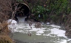 Atık suyu arıtmadan deşarj eden Manisa Büyükşehir Belediyesine ceza kesildi