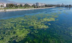 Bakanlıktan 'İzmir için nefes' projesi