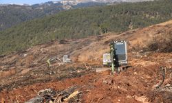 Yangında küle dönen Ilgaz Dağı yeniden yeşillenecek