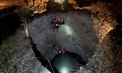 Diyarbakır'da yaban domuzu kurtarma operasyonu