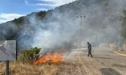 Antalya'da orman yangını!