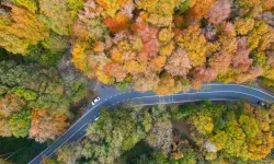 Belgrad Ormanı sonbahar renklerine büründü