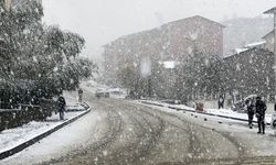 Meteorolojiden uyarı! Bu illere dikkat, kuvvetli kar yağışı...