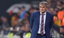 Şenol Güneş'in Galatasaray'dan istediği oyuncu ortaya çıktı