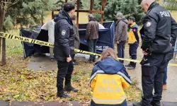 Tedavi için hastaneye giderken parkta öldü