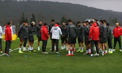 A Milli Takım'da sakatlık! Aday kadrosunda değişiklik yapıldı