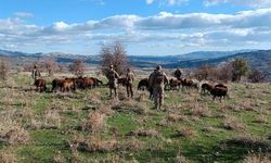 Elazığ'da kaybolan Avcı'nın yeri dron ile tespit edildi