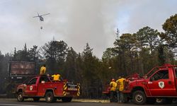 ABD'nin California eyaletinde orman yangını nedeniyle 132 yapı yok oldu