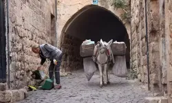 Mardin'de 'çalışan eşekler' emekliye ayrılıyor