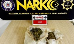 Otobüste 833 gram esrar maddesi ile yakalandı