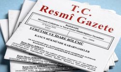 Kamu Başdenetçiliğine Akarca'nın Seçildiği Karar Resmi Gazete'de