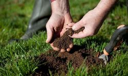 Milli Ağaçlandırma Günü geleceğe "nefes" olacak