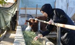 Gıda mühendisi 2 çocuk annesi devletten aldığı destek ile genç yaşta besici oldu