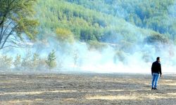 Yeniköy'de anız yangını hızlı müdahale ile söndürüldü