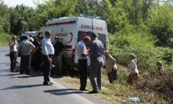 Siirt'te tarım aracı devrildi: Anne öldü, oğlu yaralandı