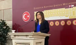 DEM Parti'den kayyum tepkisi: TBMM çalışmalarına katılmayacağız