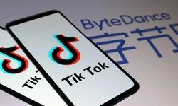 Fransız aileler, çocuklarına zararlı içerikleri sunduğu gerekçesiyle TikTok'a dava açtı