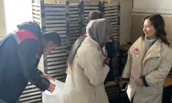 Şanlıurfa'da gıda teröristlerine darbe: 2 ton bozuk kuru yemiş ele geçirildi