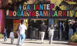 Gaziantep Doğal Yaşam Parkı'nda 10 ayda 1100 yavru doğdu