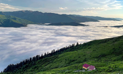 Artvin’den Rize’ye Yayla Rotaları