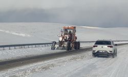 Van'da 21 yerleşim yerinin yolu ulaşıma kapandı