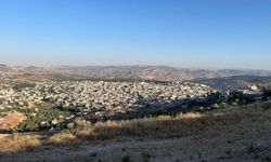 Arap ülkeleri, katil İsrail'in Golan Tepeleri'nde yerleşim yerlerini genişletme kararını kınadı