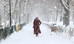 Beklenen gün geldi! Bu şehirlere yarın lapa lapa kar yağacak