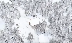 Erzincan Dumanlı Tabiat Parkı'ndan kış manzaraları